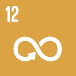 ODS 12