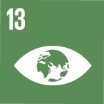 ODS 13
